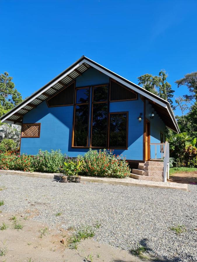 Villa Casa Numú Cahuita Exterior foto